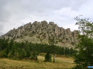 ������ �������� �� ��������