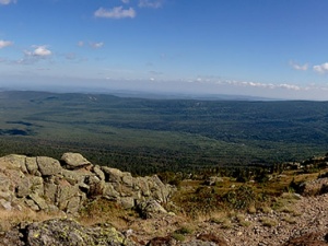 100 ���������� �� ������