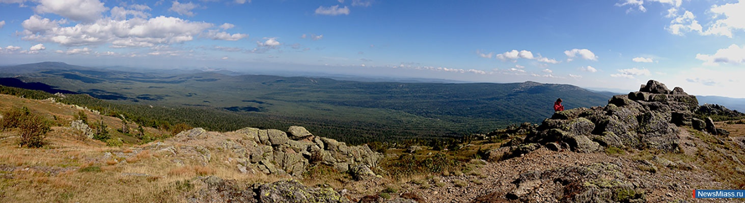 100   .     ""    100   - 