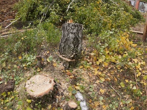 ������� ������ ��� ����������