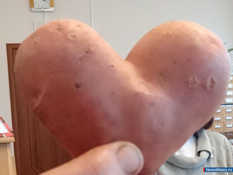      -  .        -  " "    16  