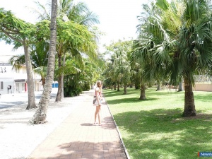 "������" �� ���������� ����