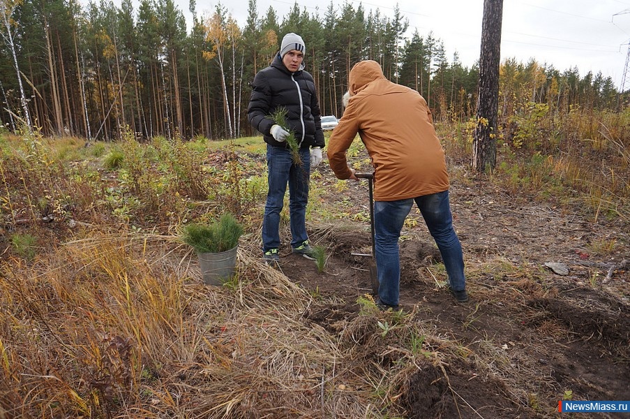 ��������� ���� ��������� ���� ��������. ����������� ������� �������� �� �����������, ���������� �� ����� ����� � ���������� ����� � ��������� �����