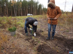 ��������� ���� ��������� ���� ��������