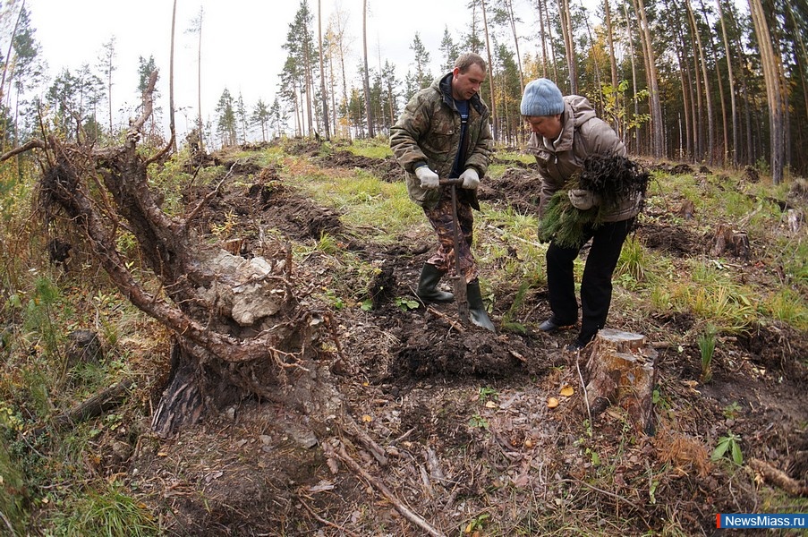 ��������� ���� ��������� ���� ��������. ����������� ������� �������� �� �����������, ���������� �� ����� ����� � ���������� ����� � ��������� �����