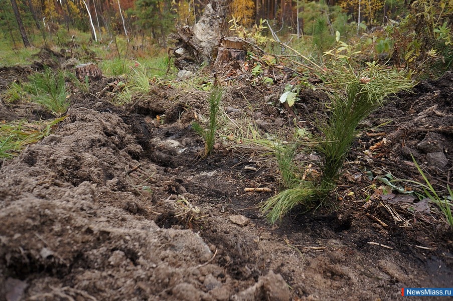 ��������� ���� ��������� ���� ��������. ����������� ������� �������� �� �����������, ���������� �� ����� ����� � ���������� ����� � ��������� �����