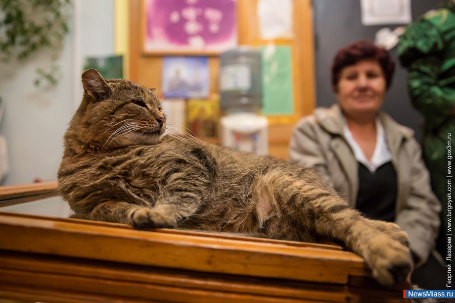 ��� ���������������� �����������. � ������������� ����� ������� ������ "���� ��������", ���������� ����������� ������ ����� � ��������