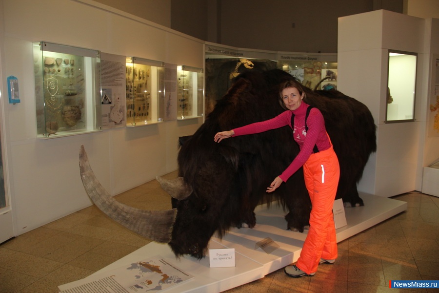 ������������ �����������. � ���� �������� ������������ ��������� ������������ ����������� �� ��������� ���������� ������