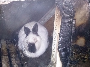 ������� ������ �������� � ������