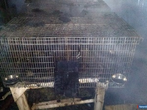 ������� ������ �������� � ������