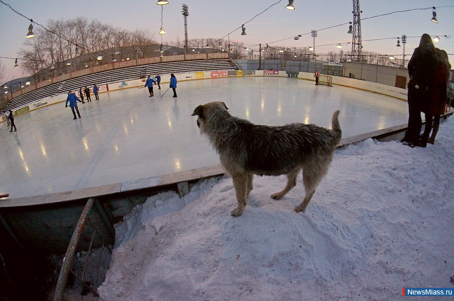 ����� ��-������!. �� ���� �������� "����" ������ ���������� ���� ������� �� ������ � �������� �� ����� ���������������� �������� ����������� �������