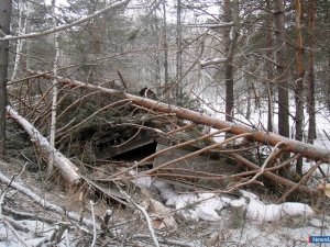 ������ ������ �� ����