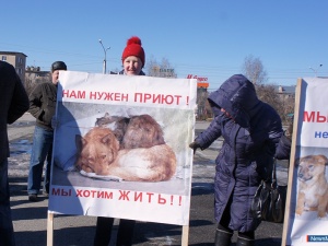 ����� - ������������ �������������� �������