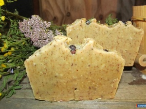 ����� ��������� "������� �����"