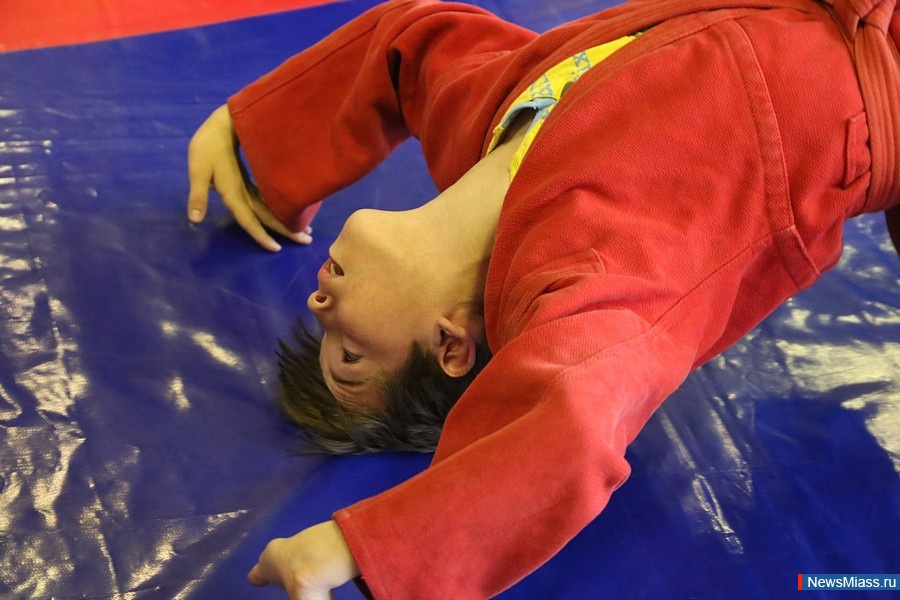 ���������� ������ �� �����. �������� ���� �������� ��������� ��������� ����������� �������� ����������� �� XXIX ������������� ��������� ������� �� ����� �� ����� �������� ��������� ���������