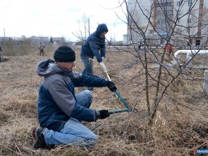 ������ �������