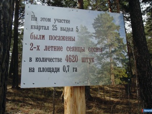 �������� "��� ������"