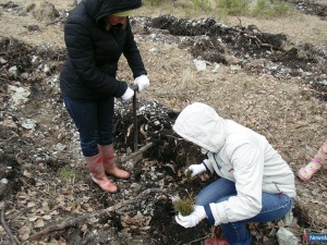 �������� "��� ������"