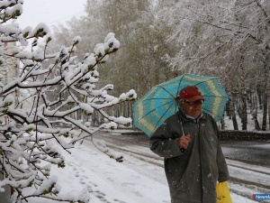 ���� �� ����� - � ���������!