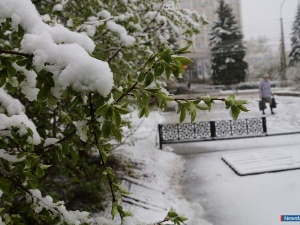 ���� �� ����� - � ���������!