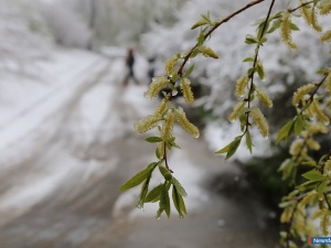 ���� �� ����� - � ���������!