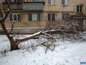 ����� ������������ �������� ���� �� ��������