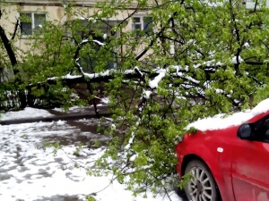 ����� ������������ �������� ���� �� ��������