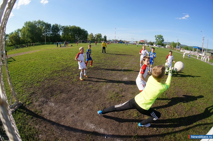  ""  . C      "-2015-"