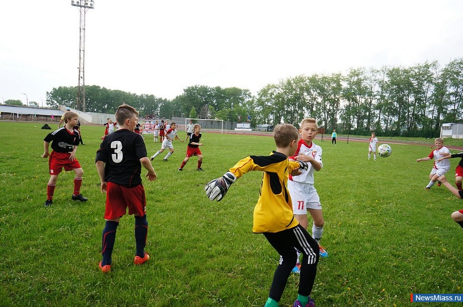  -  .    ""         "-2015 "