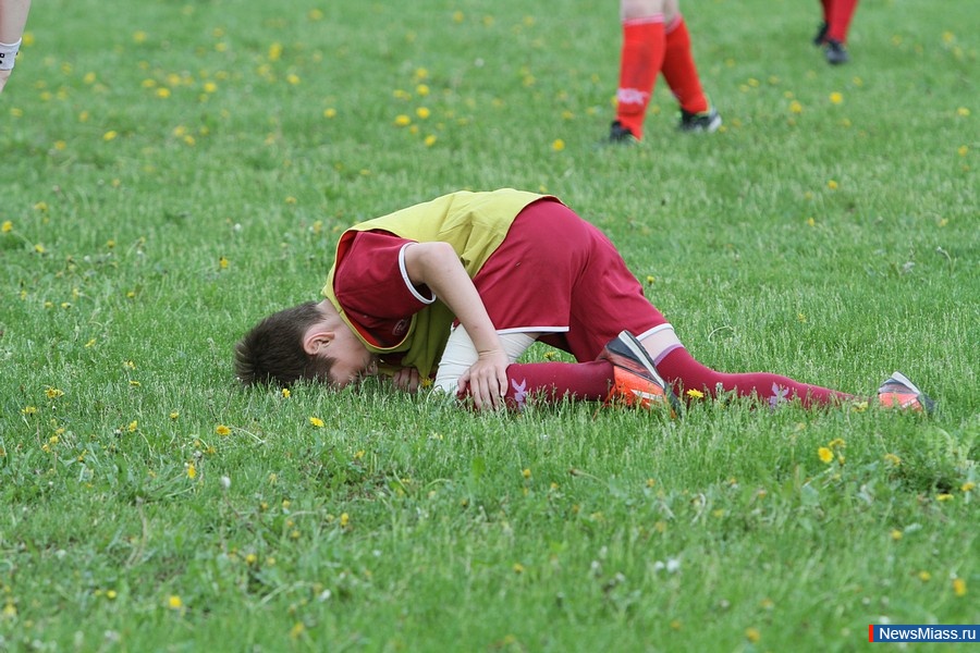  -  .    ""         "-2015 "