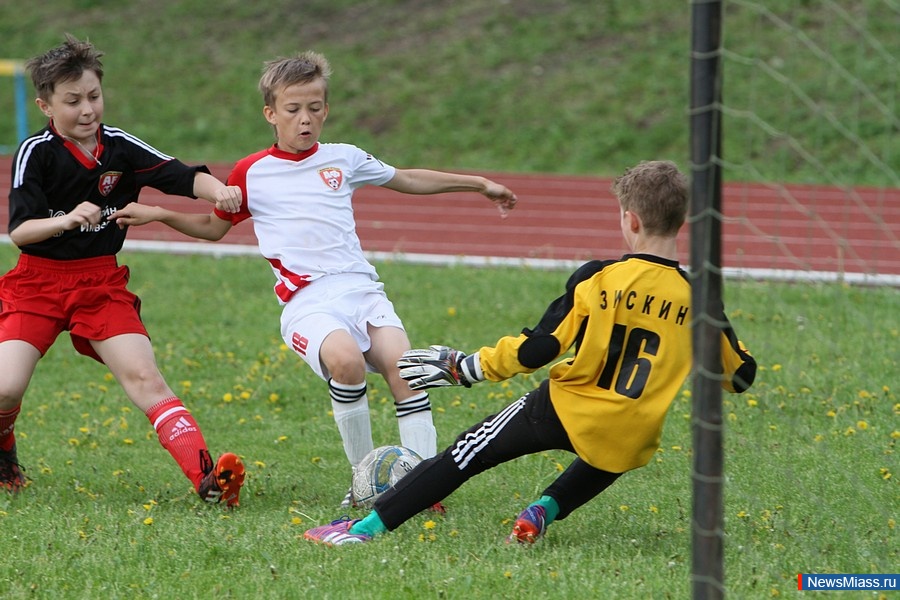  -  .    ""         "-2015 "