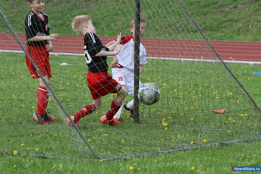  -  .    ""         "-2015 "