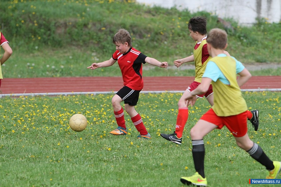  -  .    ""         "-2015 "