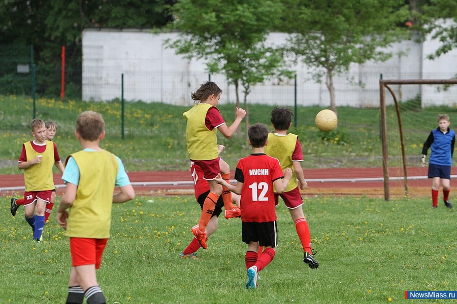  -  .    ""         "-2015 "