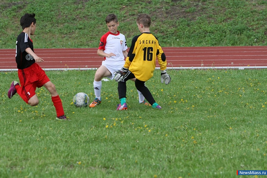  -  .    ""         "-2015 "