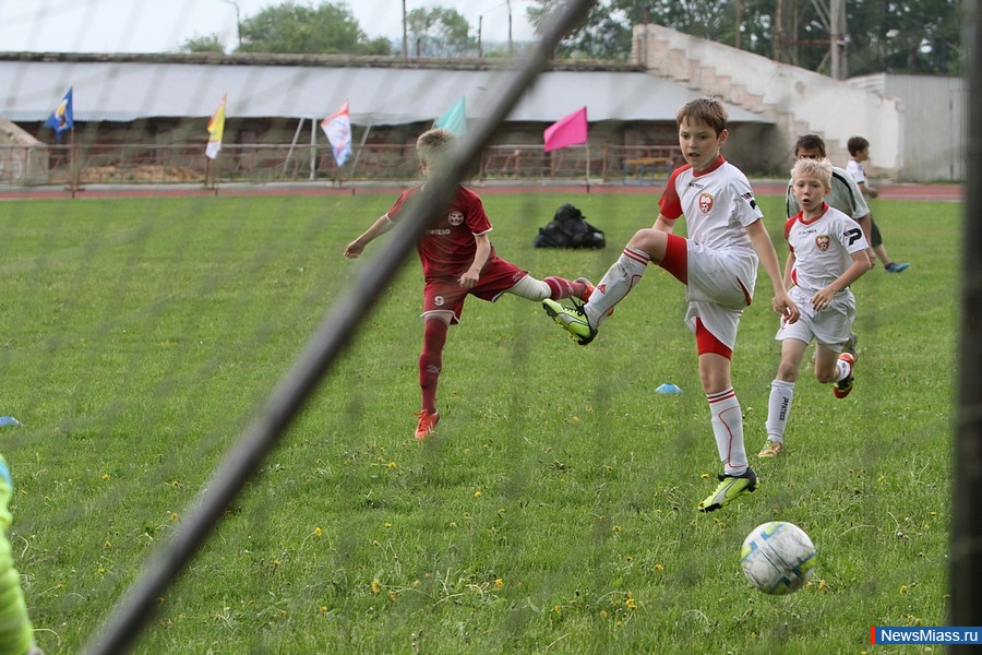  -  .    ""         "-2015 "