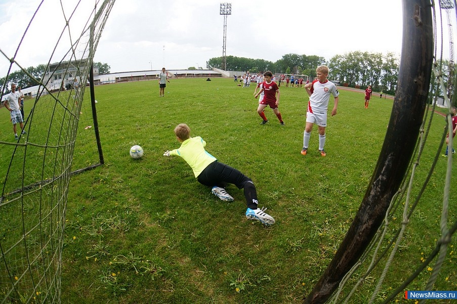  -  .    ""         "-2015 "