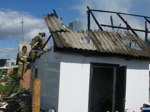 �� ����� - �����