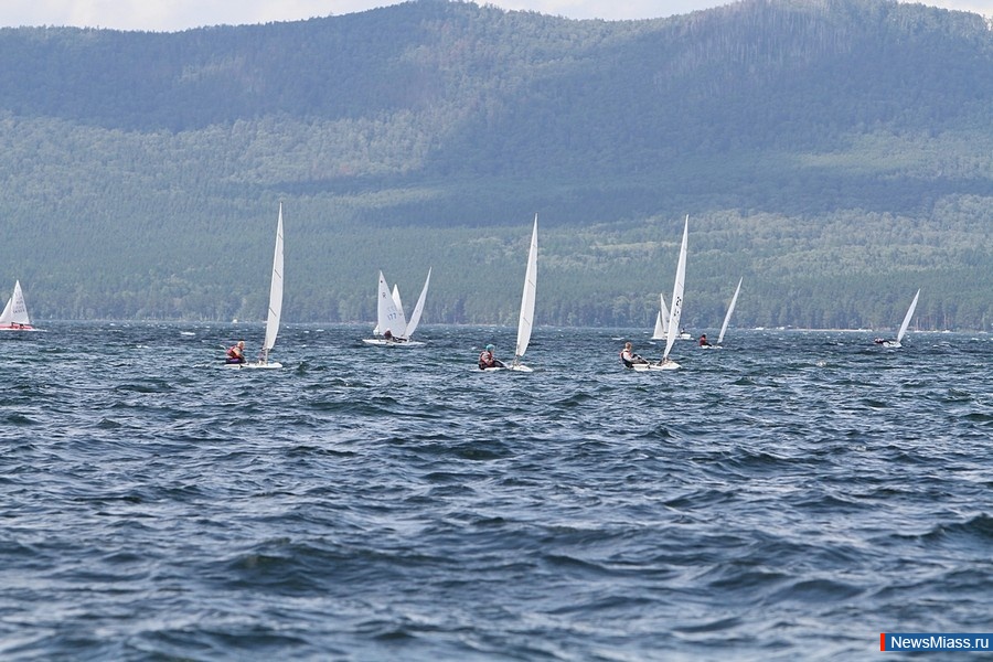    .       -      ,     ,  -  