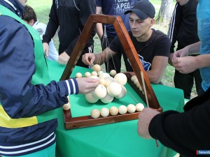 ���������� � �������