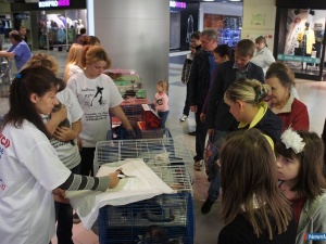 ������ - �� ����� �������