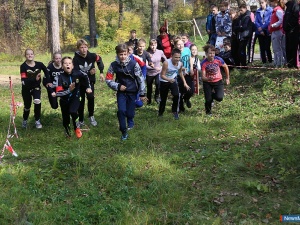 ��������� ���������� ���� 2015