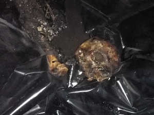 ������ � ������ ��������