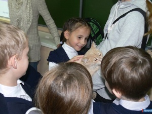 ��������� "���� �������"