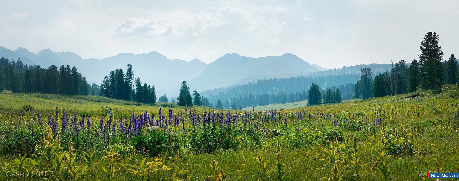  ,  ,  .   ""       " ,  ,  "