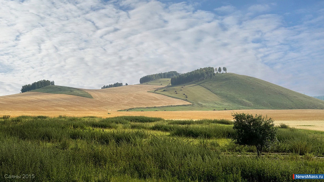  ,  ,  .   ""       " ,  ,  "