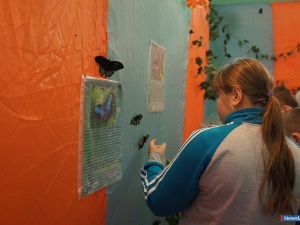 ������� ������� ����