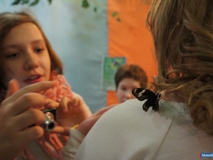 ������� ������� ����