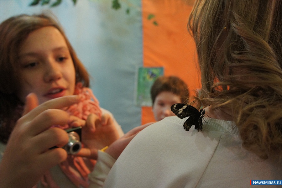 ������� ������� ����. �������� ����������� ������� �� 10 ������ ����� �������� � ��������� ������������� �����