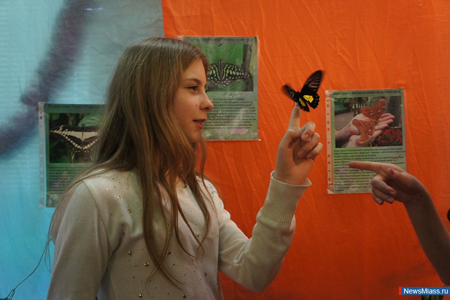 ������� ������� ����. �������� ����������� ������� �� 10 ������ ����� �������� � ��������� ������������� �����